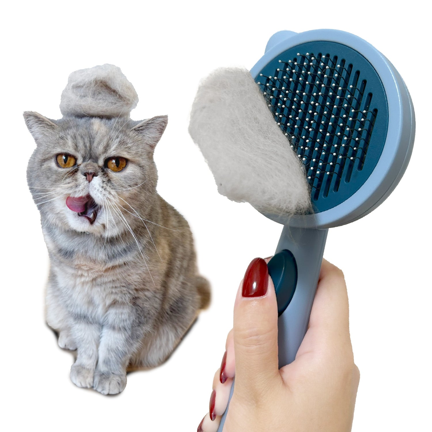 Felinebees ワンタッチ！ペット用ブラシ サファイアブルー